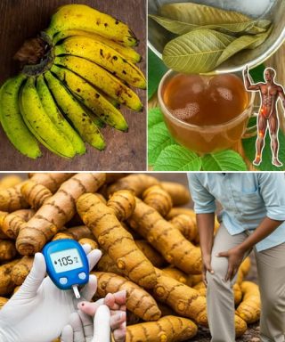 Ten złoty środek szokuje lekarzy: naturalny napój, który równoważy poziom cukru we krwi, obniża ciśnienie krwi i natychmiast poprawia krążenie”