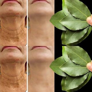 Czy liść laurowy jest 100 000 razy silniejszy niż botoks? | Naturalny sposób na usuwanie zmarszczek nawet w wieku 70 lat!