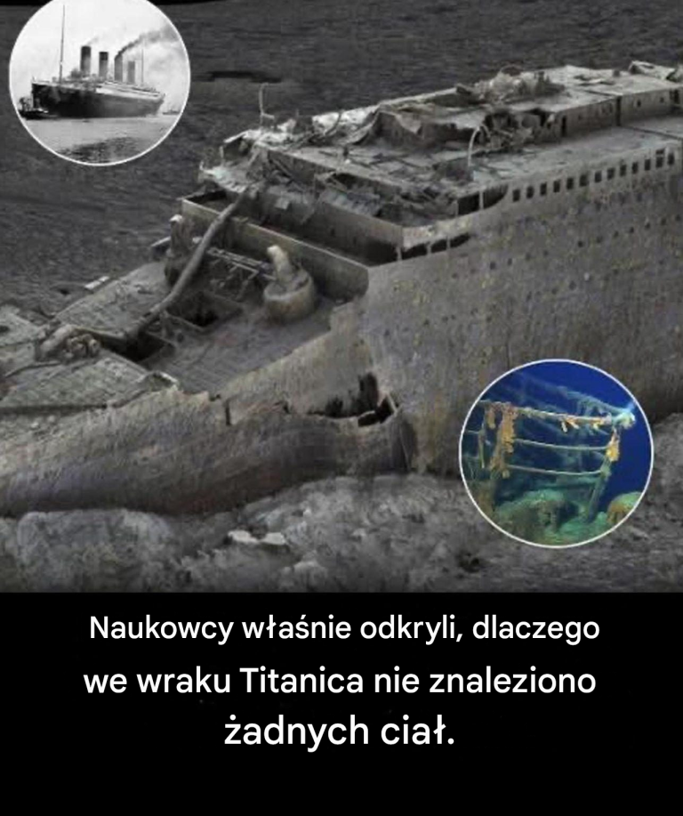 Dlaczego we wraku Titanica nie znaleziono żadnych ciał?