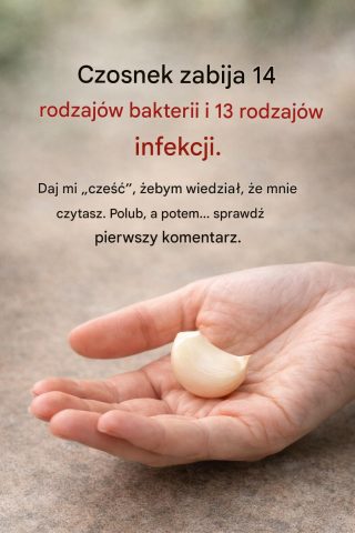 Czy to prawda, że ​​czosnek zabija 14 rodzajów bakterii i 13 rodzajów infekcji?