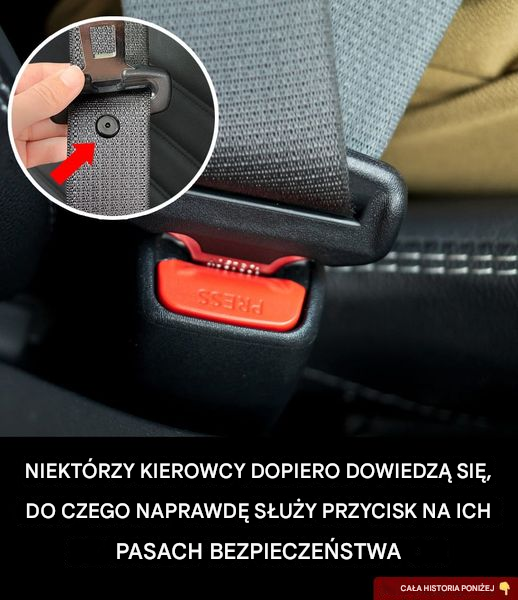 Do czego służy ten mały przycisk na pasie bezpieczeństwa? Mało znane zastosowanie.