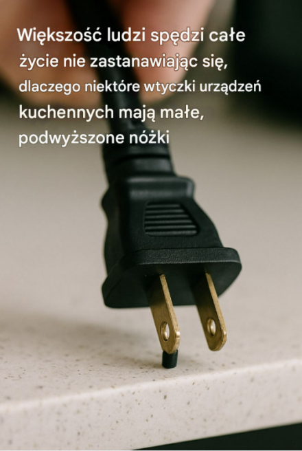 Większość ludzi spędzi całe życie nie zastanawiając się, dlaczego niektóre wtyczki urządzeń kuchennych mają małe, podwyższone nóżki