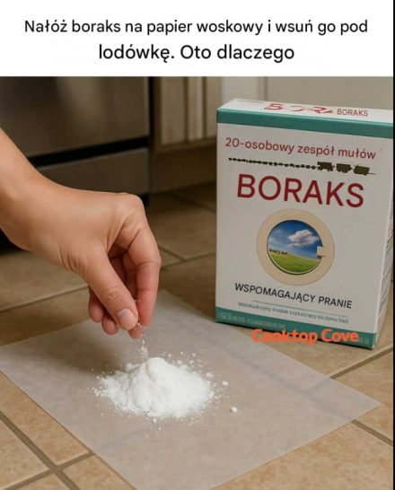 Nałóż boraks na papier woskowy i wsuń go pod lodówkę. Oto dlaczego