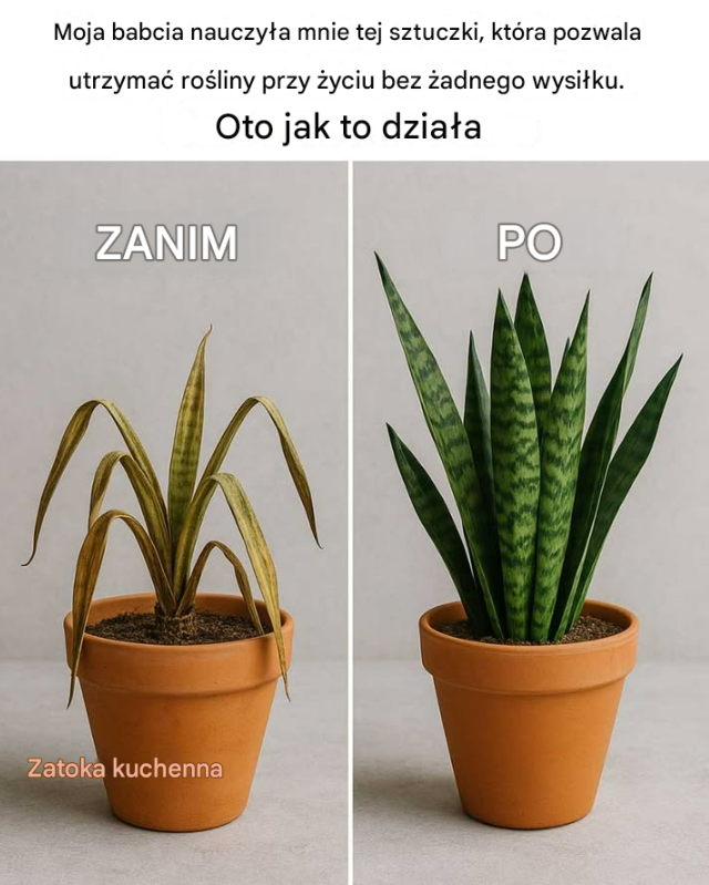 Szkoda, że nie widziałem tego wcześniej