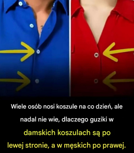 Dlaczego guziki na bluzkach damskich znajdują się po lewej stronie?