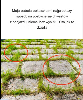 Moja babcia pokazała mi najłatwiejszy sposób na pozbycie się chwastów z podjazdu, który wymaga niemal zerowego nakładu pracy — oto jak to działa