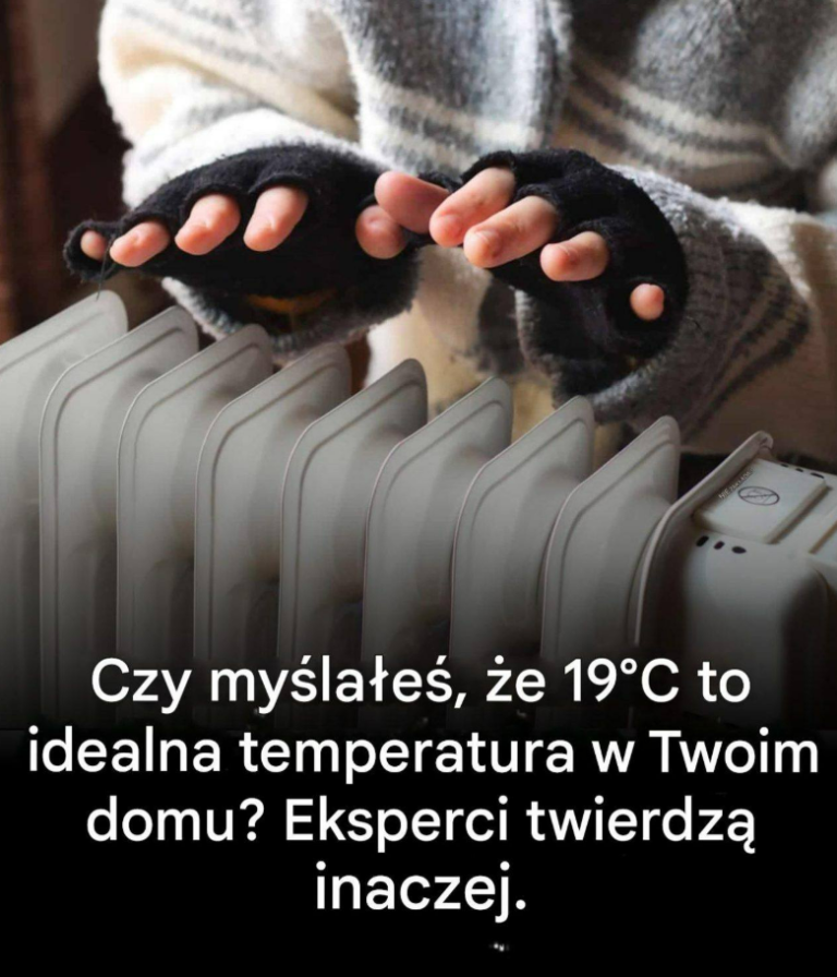 Czy myślałeś, że 19°C to idealna temperatura w Twoim domu? Eksperci twierdzą, że to już przeszłość.