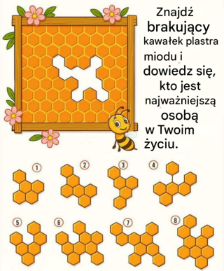 Znajdź brakujący element wzoru plastra miodu i zobacz, kto idzie obok ciebie