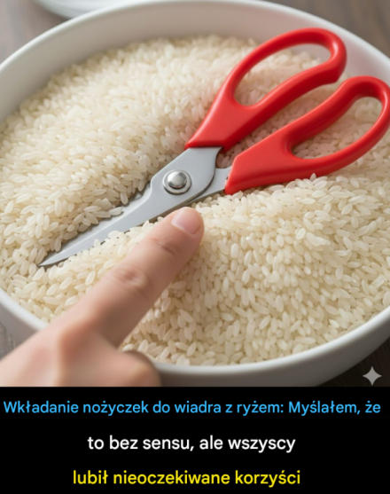 Sticking scissors into a bucket of rice: Thought it was useless, but everyone liked the unexpected benefits