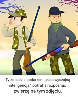 Czy potrafisz wskazać zwierzę na obrazku?