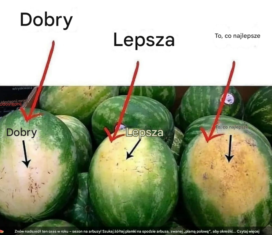 Opanuj sztukę wyboru idealnego arbuza: Twój kompletny przewodnik po słodkości i dojrzałości
