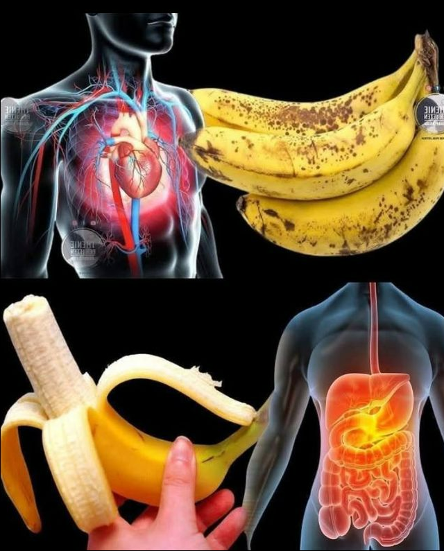 Czy wiesz, że jedzenie bananów zwiększa… Zobacz więcej