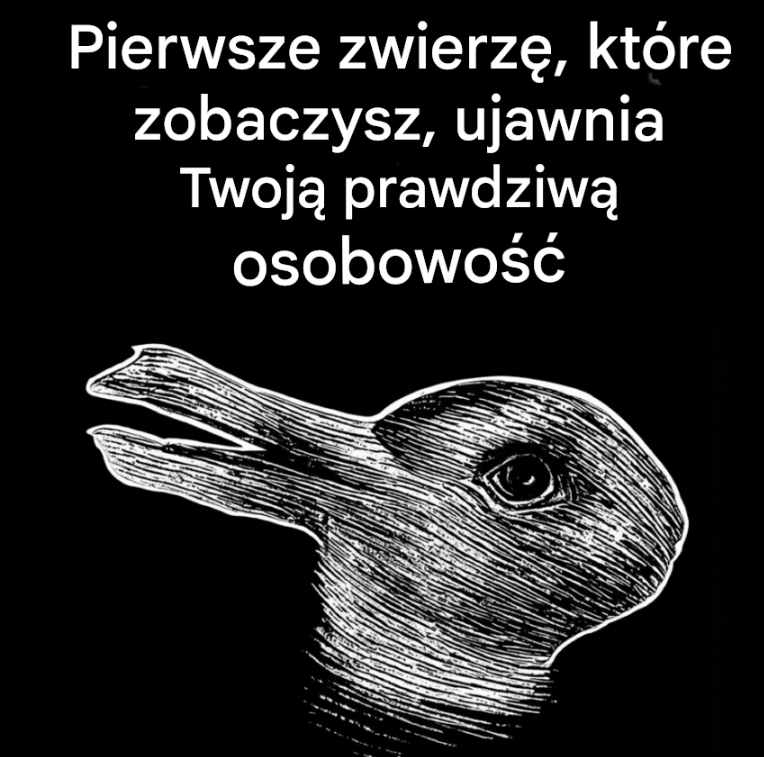 Co pierwsze zwierzę, które zauważysz, może powiedzieć o Twojej osobowości