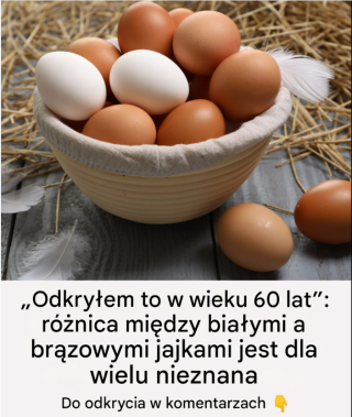 Jaka jest różnica między białymi i brązowymi jajami?