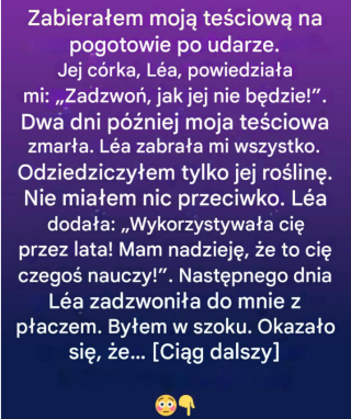 Odziedziczyłem tylko starą roślinę. Prawda, którą skrywała, zmieniła wszystko.