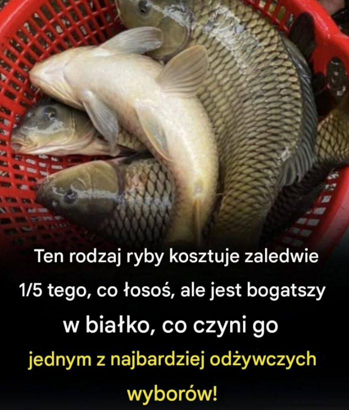 Ten rodzaj ryby kosztuje zaledwie 1/5 tego, co łosoś, ale jest bogatszy w białko, co czyni go jednym z najbardziej odżywczych wyborów!