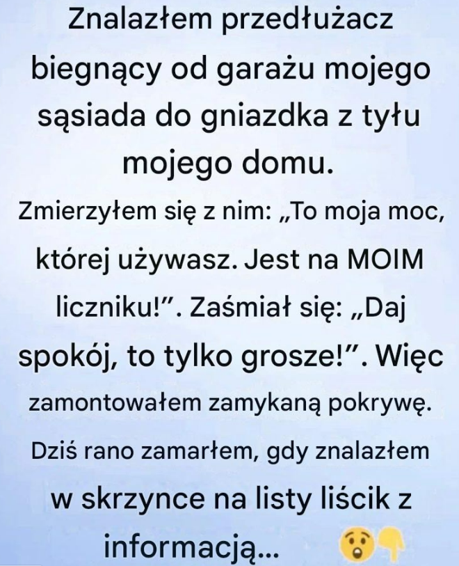 W zeszłym tygodniu wyszedłem na podwórko, licząc na chwilę spokoju — i od razu zauważyłem coś dziwnego.