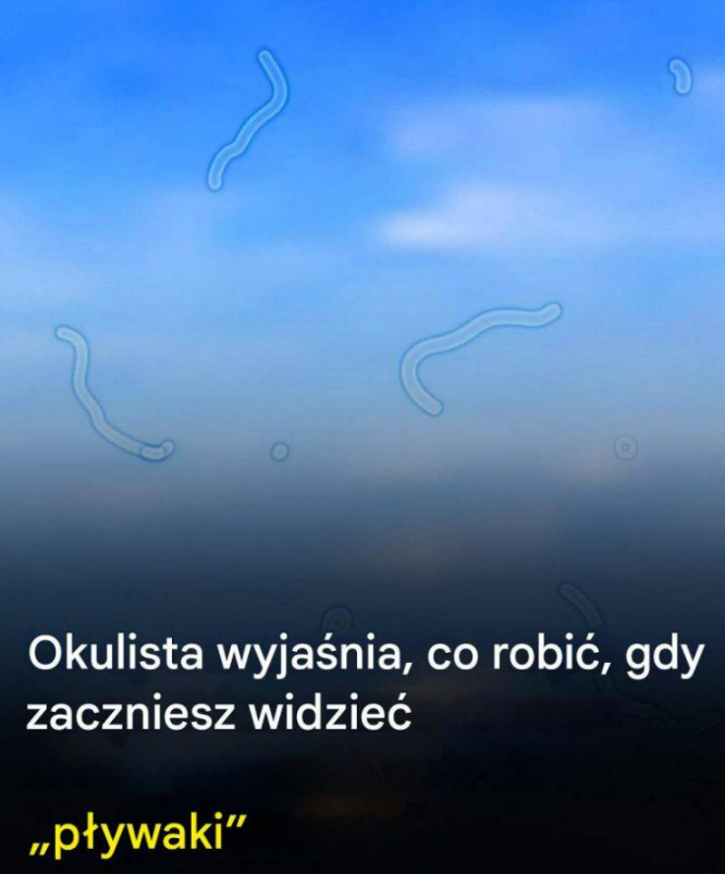 Czym są obiekty pływające? Oto, co zrobić, gdy je zobaczysz.