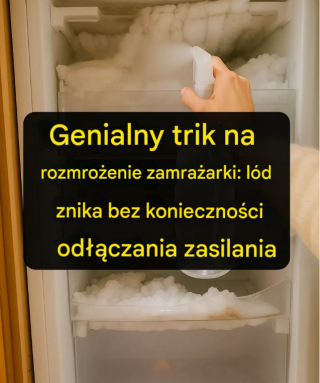 Trik na rozmrożenie zamrażarki: lód zniknie bez konieczności odłączania jej od zasilania.
