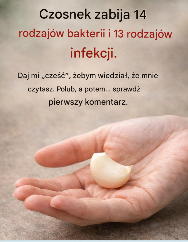 Czy to prawda, że ​​czosnek zabija 14 rodzajów bakterii i 13 rodzajów infekcji?