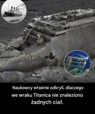 Dlaczego we wraku Titanica nie znaleziono żadnych ciał?