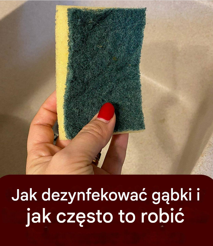 Gąbki: od mikrofalówki do wrzątku, jak je dezynfekować i jakie środki ostrożności należy podjąć