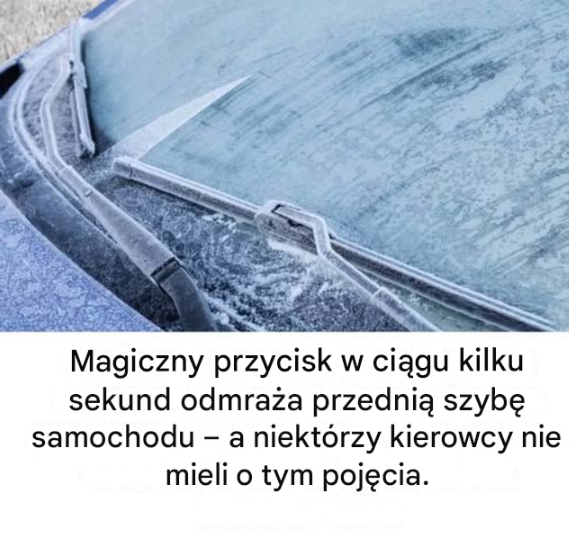 Magiczny przycisk odmraża przednią szybę w kilka sekund