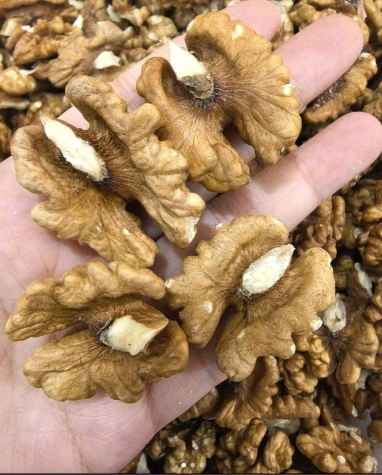 Lekarze ujawniają, że jedzenie orzechów włoskich powoduje