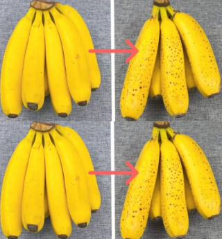 Koniec z gnijącymi i czarnymi bananami po kilku dniach: dzięki tej metodzie wytrzymają 2 lata.