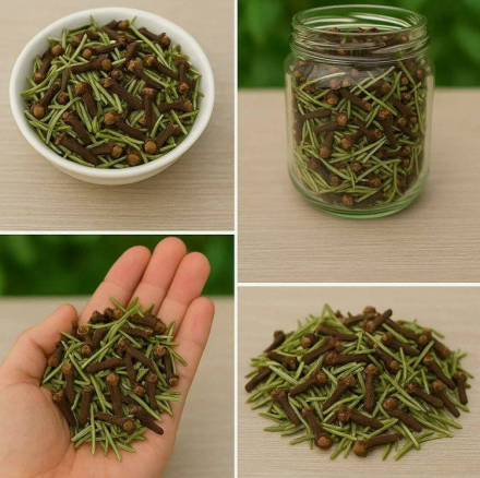 Mieszanie rozmarynu i goździków: sekret, którego nikt ci nie zdradzi, a ty podziękujesz mi później.