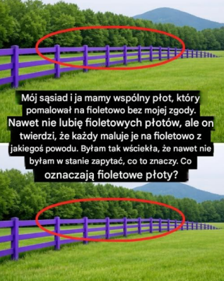 Jeśli zauważysz pomalowany na fioletowo płot, oto co to oznacza