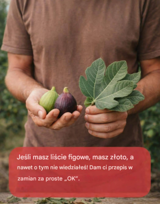 Moc liści figowych: ukryte korzyści w tych liściach