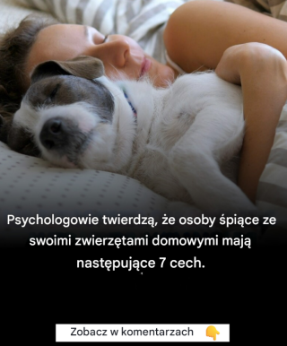 Według psychologów osoby śpiące ze swoimi zwierzętami mają 7 wspólnych cech