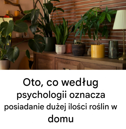 Oto, co według psychologii oznacza posiadanie dużej ilości roślin w domu.