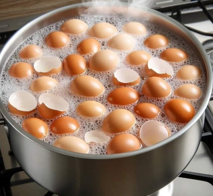 Przestań je wyrzucać. Ugotuj skorupki jajek i pożegnaj się z… Pokaż więcej