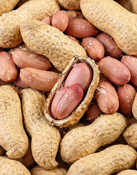 Lekarze ujawniają, że spożywanie orzeszków ziemnych powoduje… Zobacz więcej 🥜