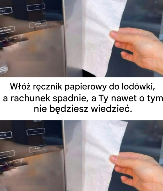 Włóż ręcznik papierowy do lodówki, a rachunek spadnie, a Ty nawet o tym nie będziesz wiedzieć.