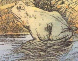 Tylko niektórzy potrafią zobaczyć konia na tym zdjęciu – czy należysz do tej nielicznej grupy szczęśliwców?