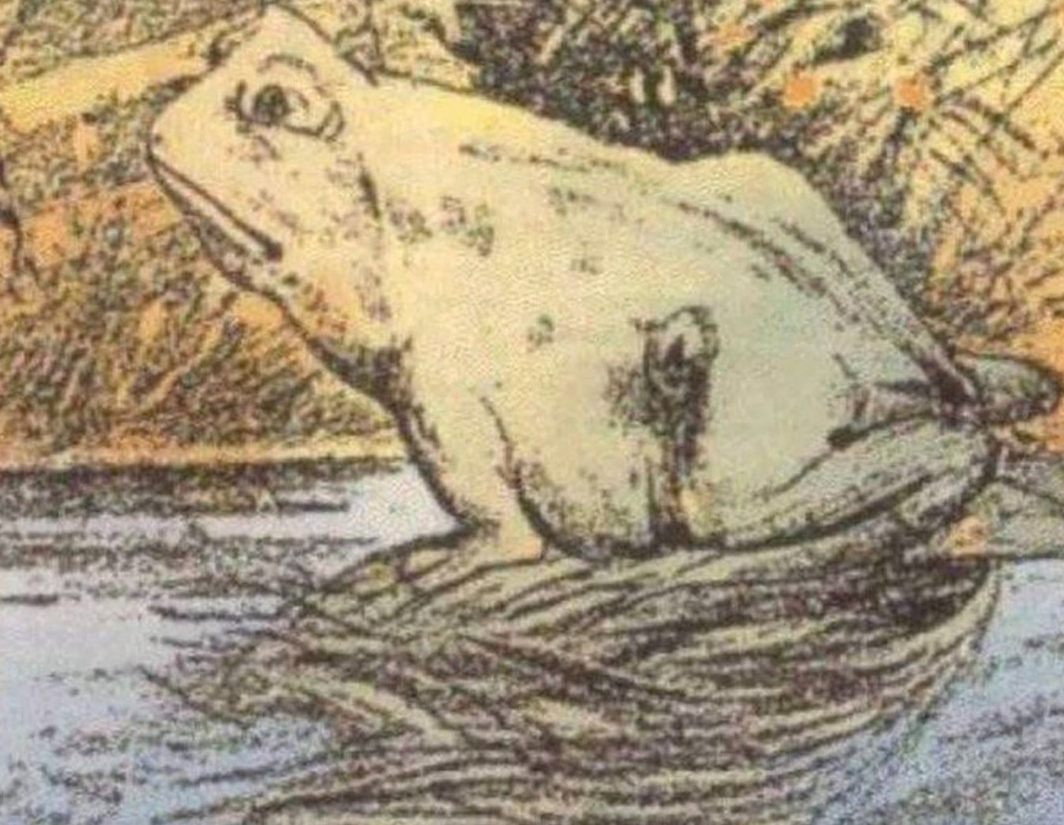 Tylko niektórzy potrafią zobaczyć konia na tym zdjęciu – czy należysz do tej nielicznej grupy szczęśliwców?