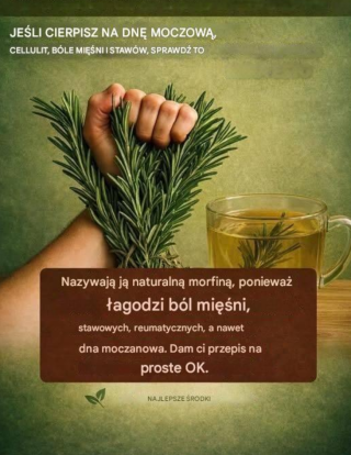 Uzdrawiająca moc rozmarynu: „Naturalna morfina”, którą powinieneś znać